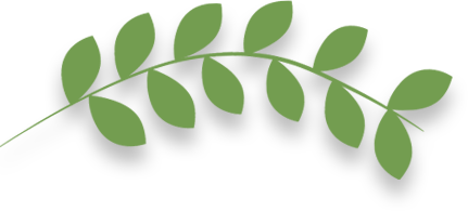 navigation leaf