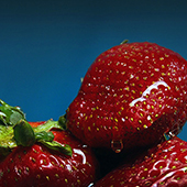 fresh-flavor